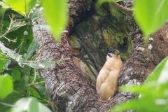 Birdwatching with Mauro