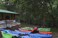 MANGROVE-TOUR-IN-KAYAK-WITH-MAURO-e1591254863907
