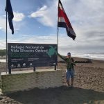 OSTIONAL SEA TURTLES